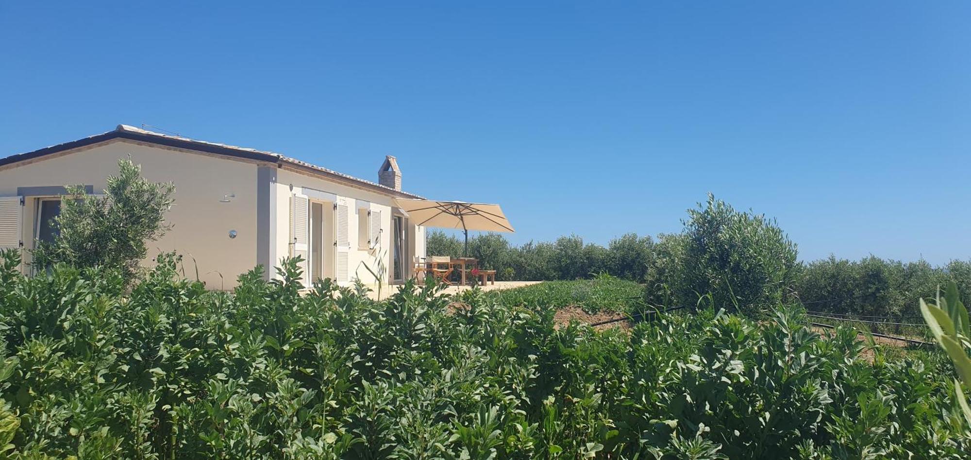 Agriturismo Mondomini Campofilone Exterior foto
